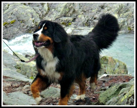 10400408_1225565716387_2984807_n