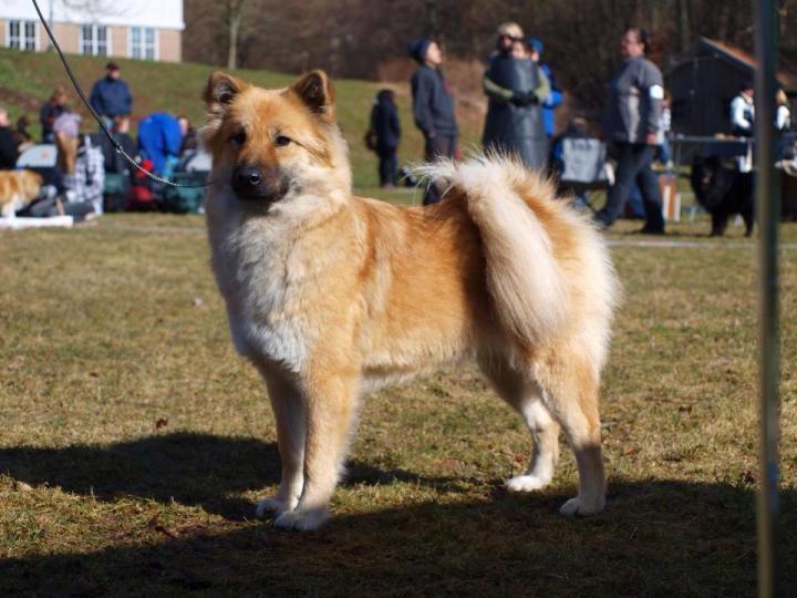 10610747_4660018033999_4522903571029309335_n