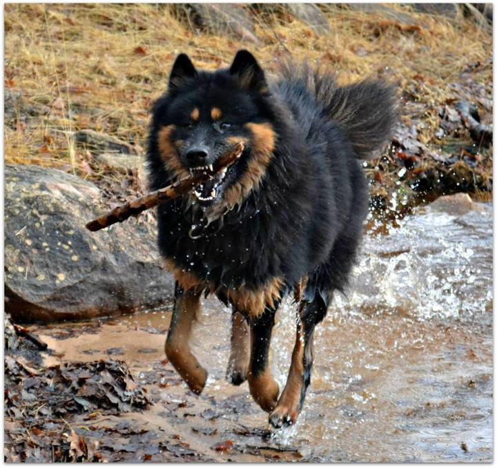 1458707_10202404699615925_967867731_n