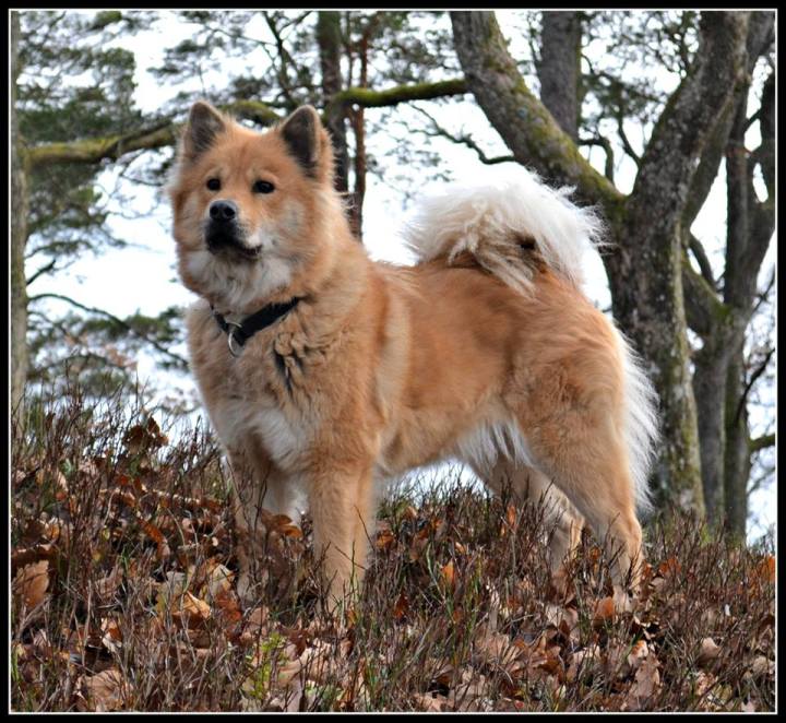 1655909_10203050922171085_1816386571_n