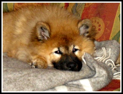 17333_1360809457396_3307045_n