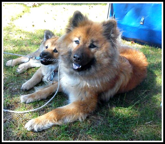 251436_2133586776346_8388294_n