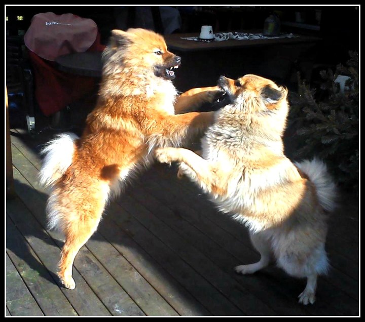 428172_3372748234608_1699521055_n