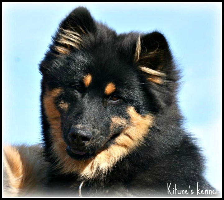 522571_10200691864276112_1802673141_n