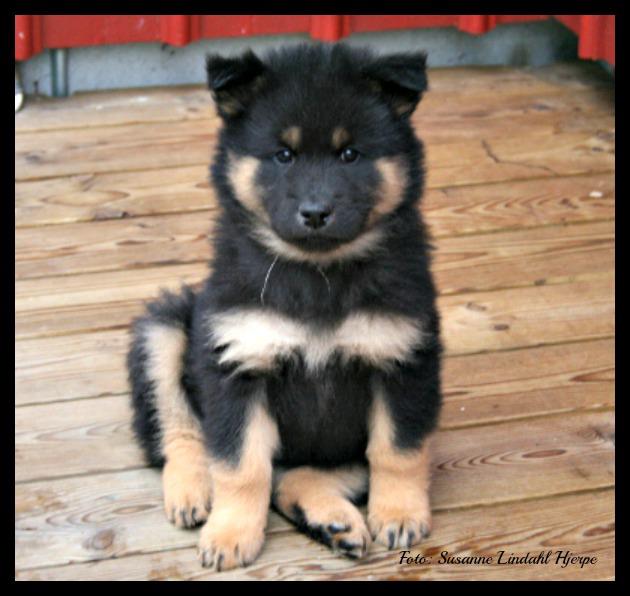 524941_4657471831895_763628717_n