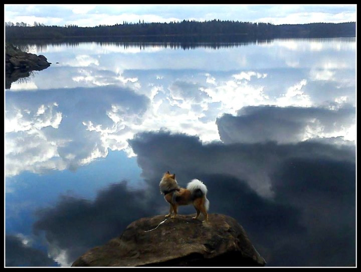 558745_3671113933564_728941648_n