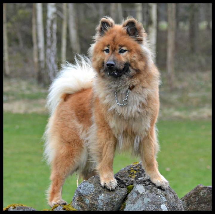 1035_4739328318256_591032361_n