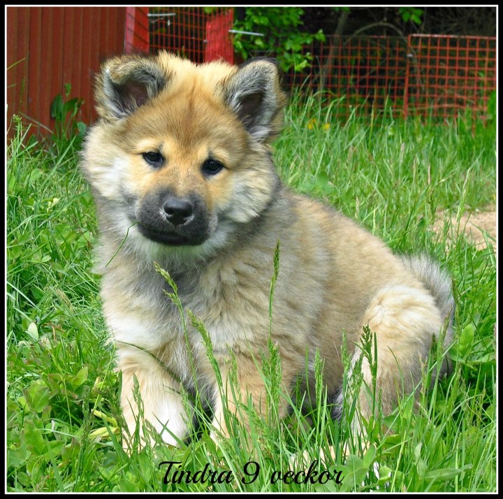 243154_2114020567203_7774593_o