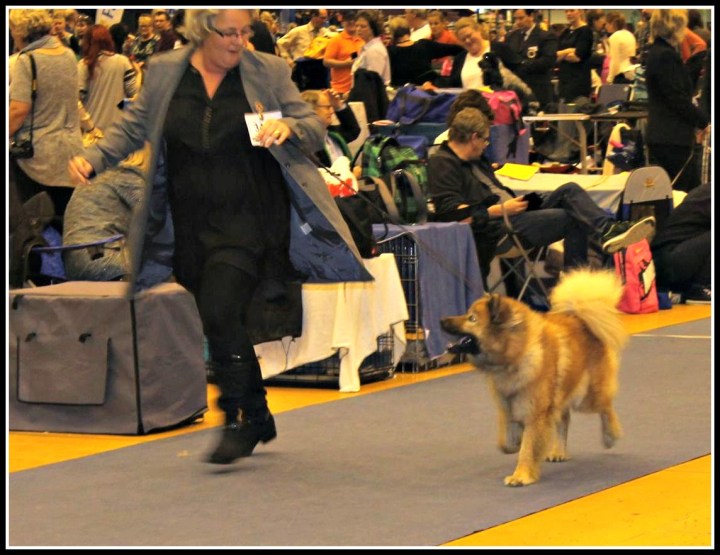 10733059_10204482149246613_991439165_o