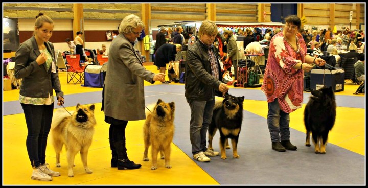 10746435_10204482152006682_1230001_o