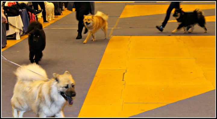 10799948_10204482143726475_268862845_o