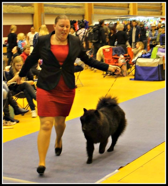 10800053_10204482208848103_1893177487_o