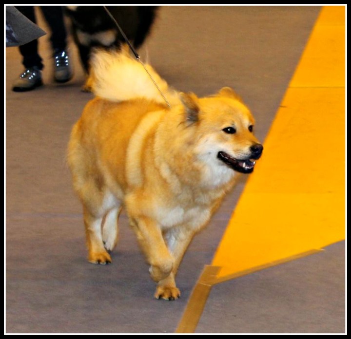 10800097_10204482145846528_106571106_o