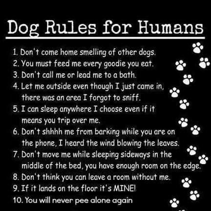 dogrulesforhumans1