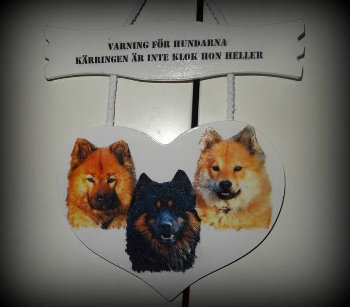 10529479_774549509248811_222820384_n