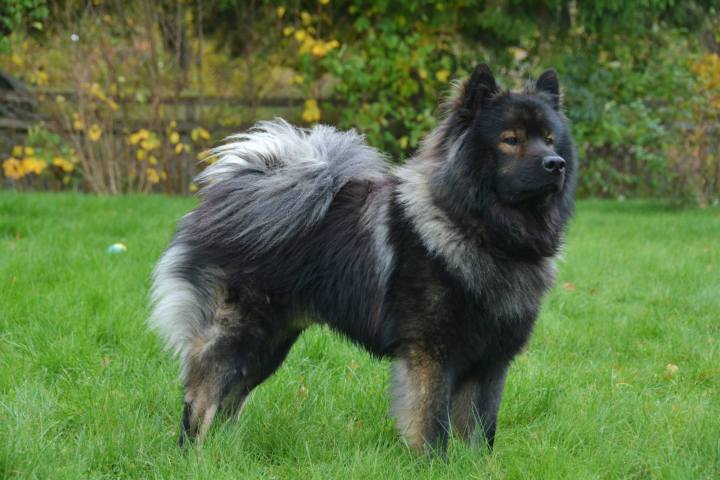 10575394_10152757417544500_4987935365869307612_o