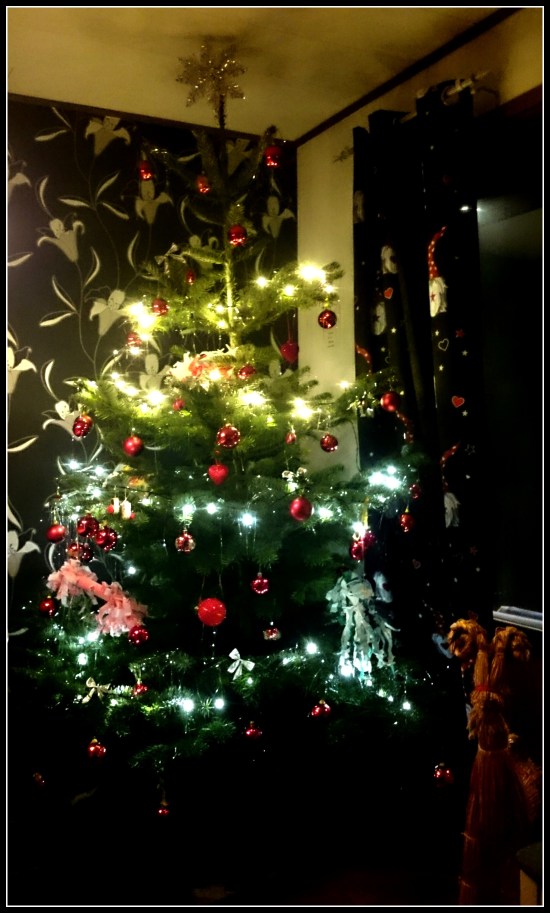 IMG_20141223_200912 (2)