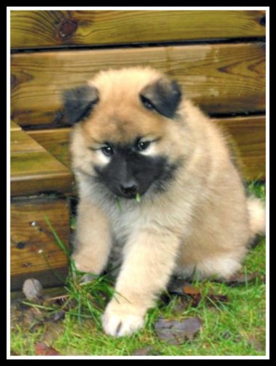 10956_1310064868813_6614180_n