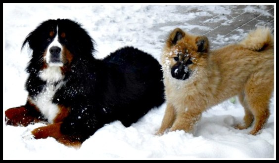 17333_1360801577199_4451116_n