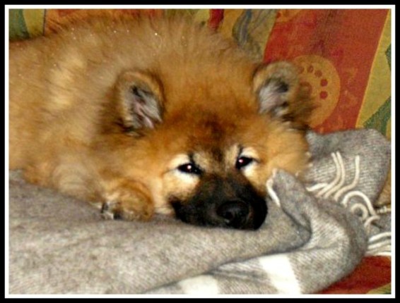 17333_1360809457396_3307045_n