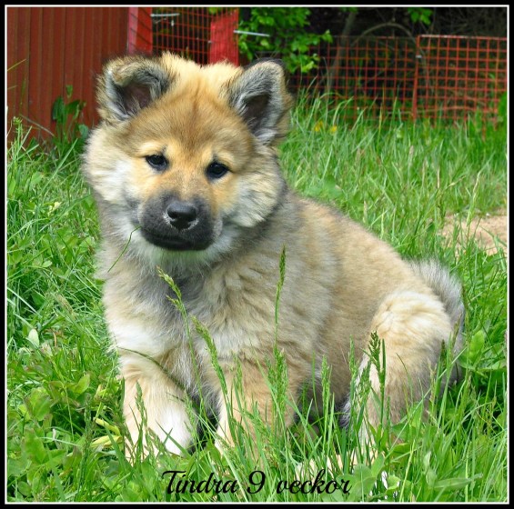 243154_2114020567203_7774593_o