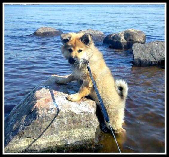 253772_2125184806302_1943900_n