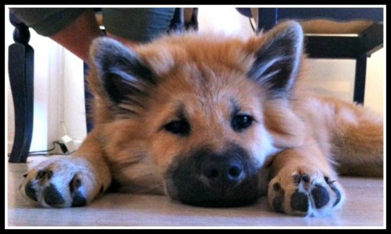 283555_2275099394073_4687467_n