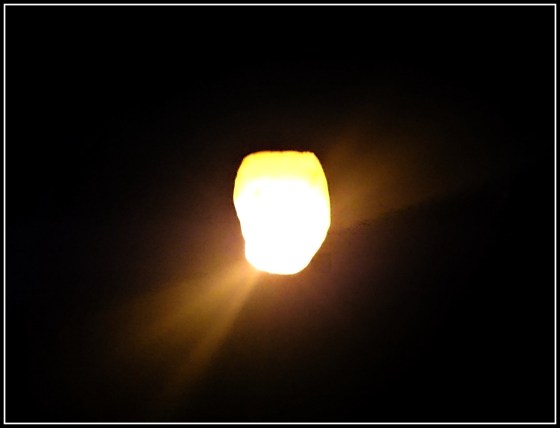 DSC_0207 (2)