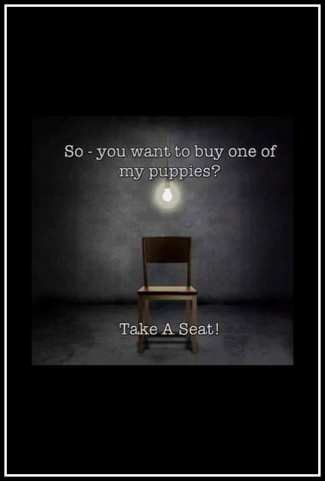 11011054_797896800294089_1426809131112572964_n