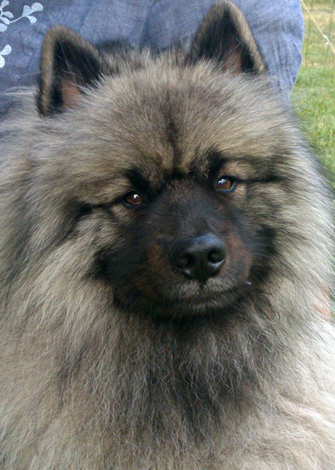 1380011_10151872548298726_1688362902_n