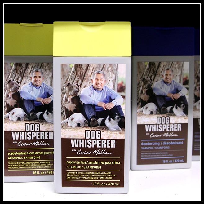 b2ap3_thumbnail_cesar3_feb15 (2)