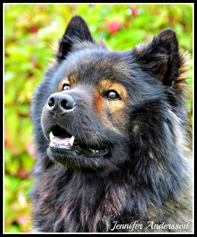 10506786_10152757436834500_1186792018813096019_o