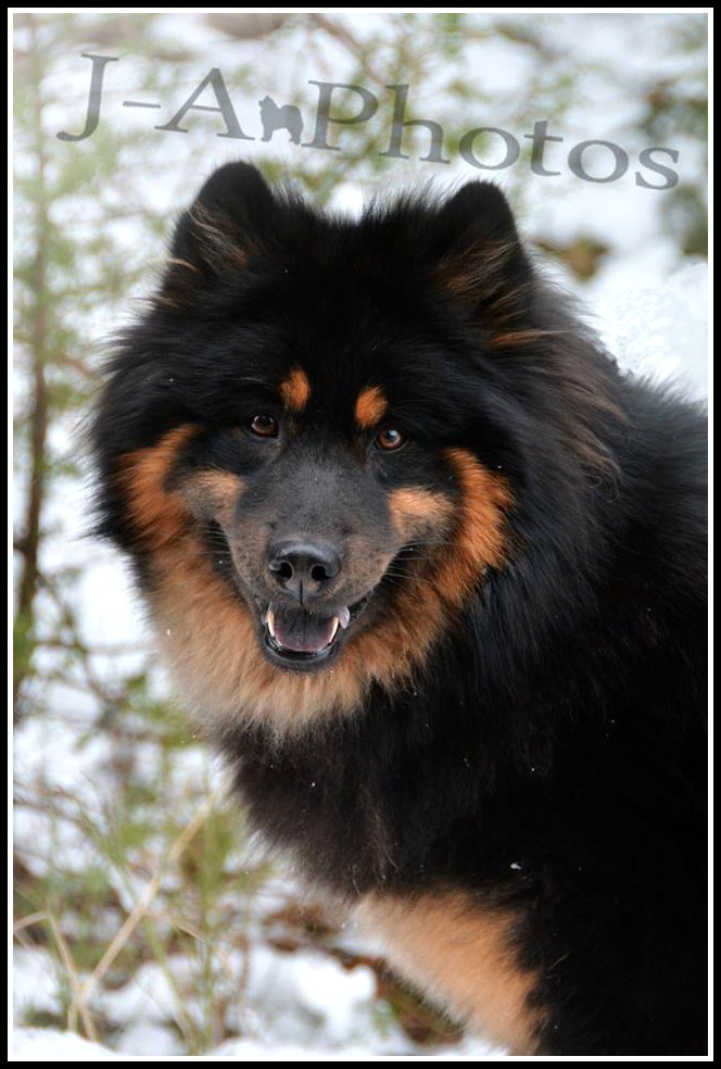 11072153_10153140523884500_1746518877_n