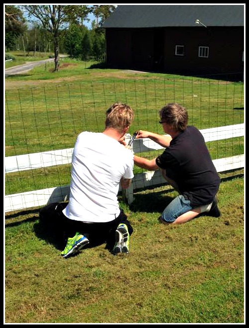 11303528_10153969537283136_1677360107_n (2)