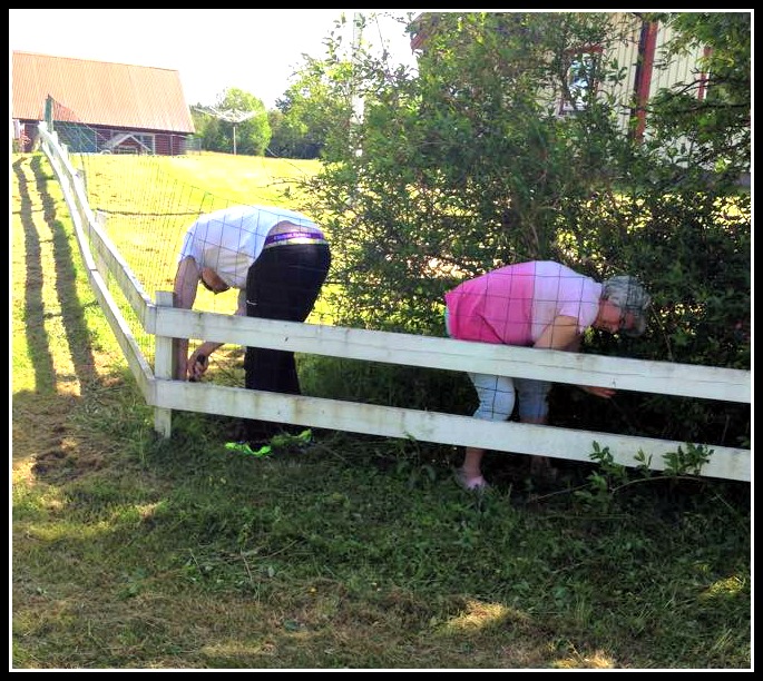 11423346_10153969537323136_1087313454_n (2)