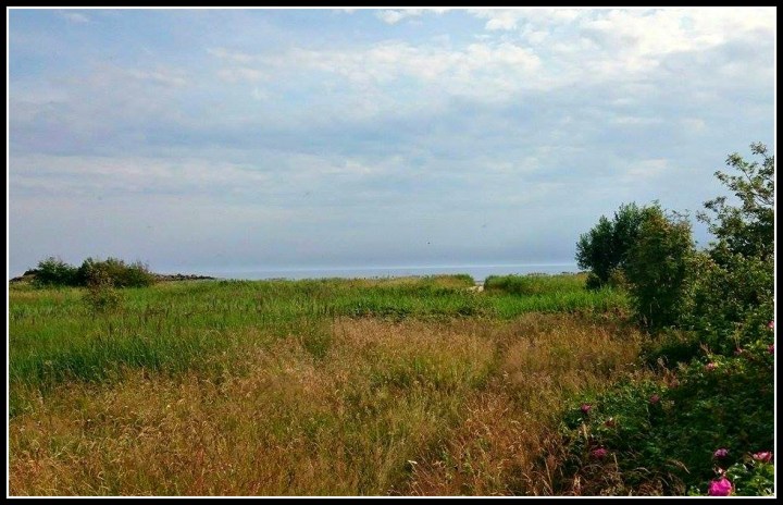 11713628_10206838492177968_1739549008_n (2)