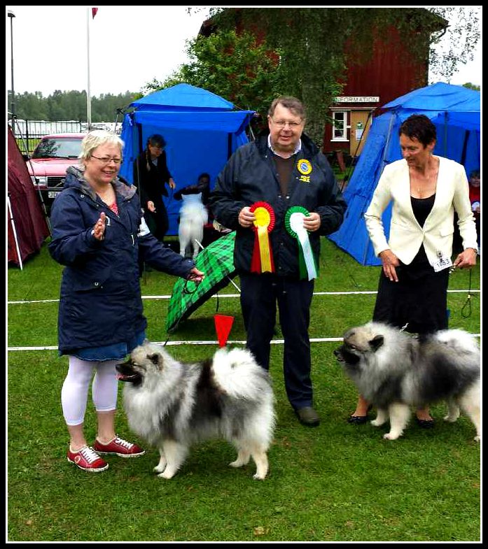 mms_20150726_192041 (2)