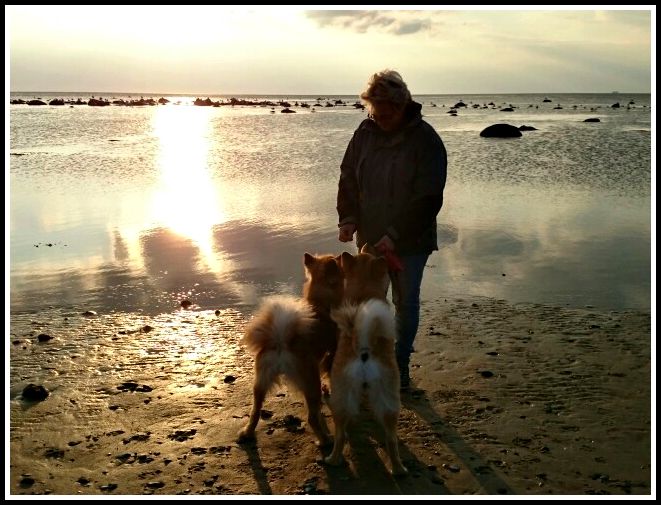 mms_20150913_145324 (2)