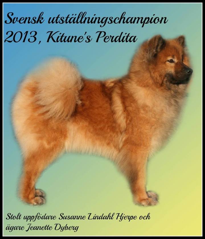 1797219_628316840538746_378123041_n