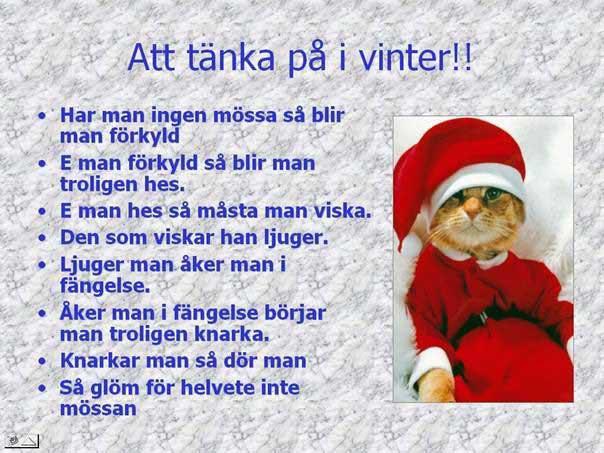 319999_259999657376621_100000997674234_758219_1473044435_n