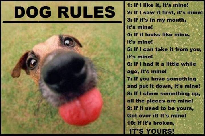 941863_629752330388236_1073254944_n