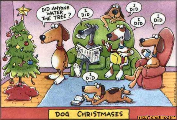 funny-dog-christmas_130434703642