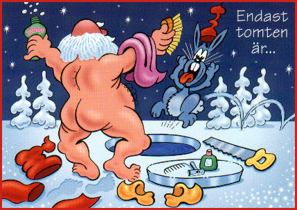 naken_tomte1_65960137