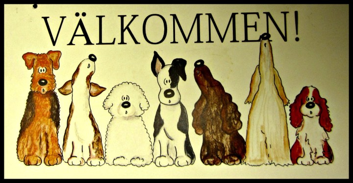 15630455-origpic-aa5a87