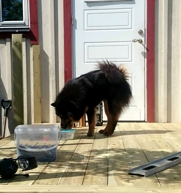 13214643_10209085277386194_364781542_o (2)