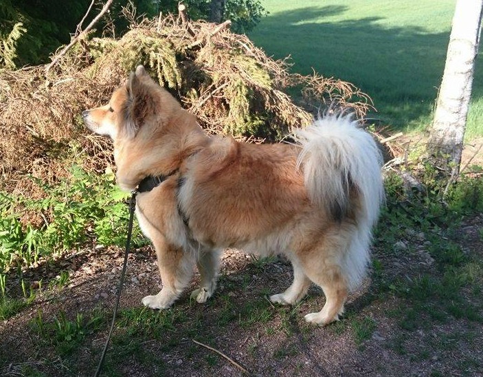 13271493_10209193658095644_2075583824_o (2)