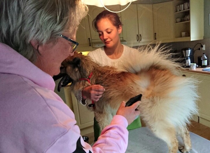 mms_20160515_200428 (2)