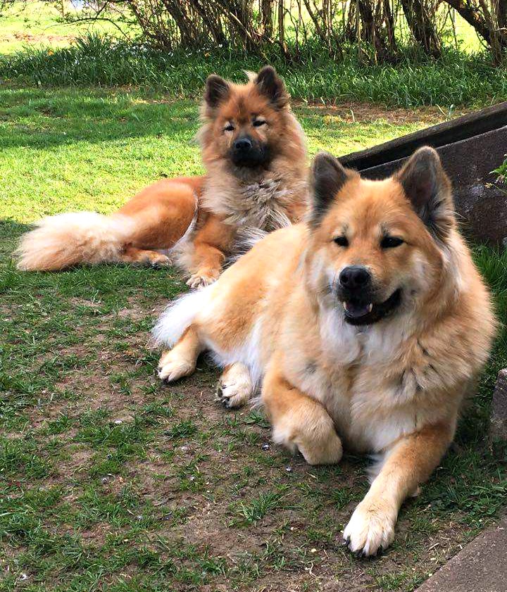 received_10153652083318226 (2)