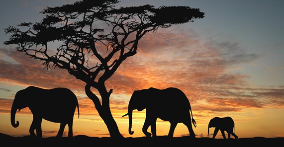 201510101305329401171267_sbig