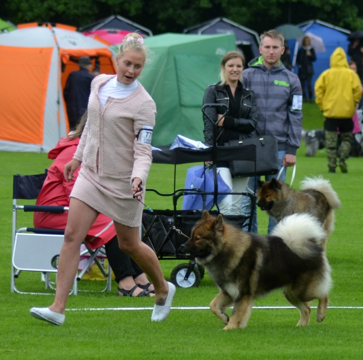 2016-07-01 16.43.09-2